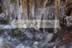 Ice Drops - Gamrie.jpg (124kb)